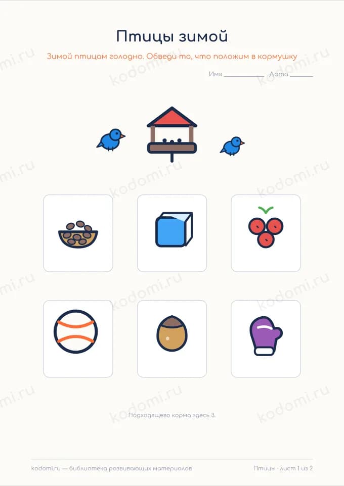Птицы зимой и летом